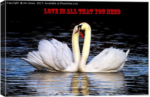 Love is all that you need! Canvas Print by Jim Jones
