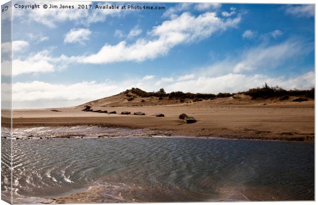 The Sand Dunes at Alnmouth Canvas Print by Jim Jones