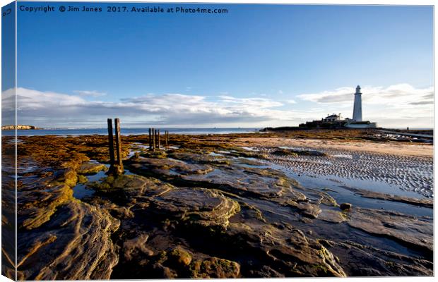 St Mary's Island and Lighthouse Canvas Print by Jim Jones