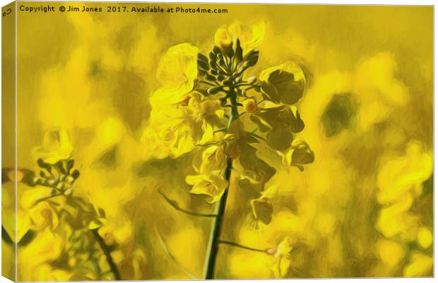 Very Yellow Canvas Print by Jim Jones