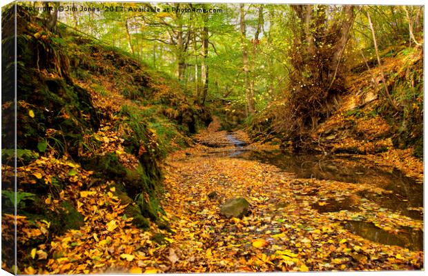 Woodland stream in Autumn Canvas Print by Jim Jones