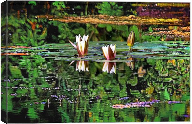 Airbrushed Water Lilies Canvas Print by Jim Jones