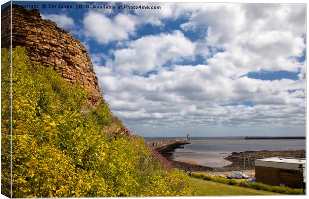The mouth of the River Tyne Canvas Print by Jim Jones