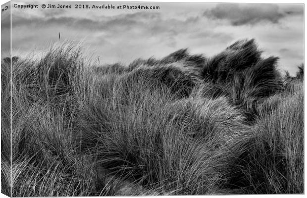 Sand Dunes in Black and White Canvas Print by Jim Jones