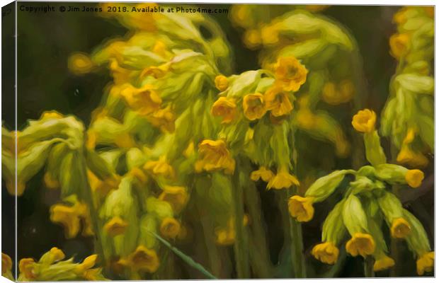 Cowslips with an Oil Painting filter Canvas Print by Jim Jones