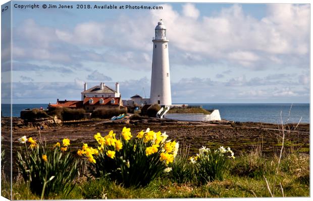 St Mary's Island in Springtime Canvas Print by Jim Jones