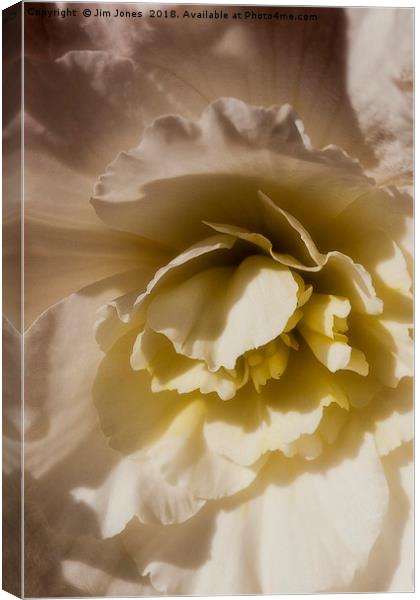 A lighter shade of pale..... Canvas Print by Jim Jones