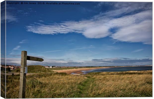 Pointing the way Canvas Print by Jim Jones