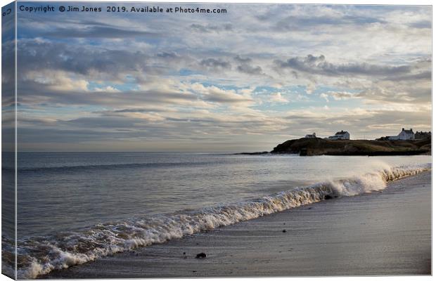 The beach at Seaton Sluice, Northumberland Canvas Print by Jim Jones