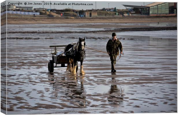 Horse and cart on the beach Canvas Print by Jim Jones