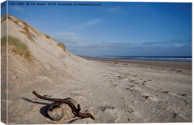 Driftwood on the beach at Druridge Bay Canvas Print by Jim Jones
