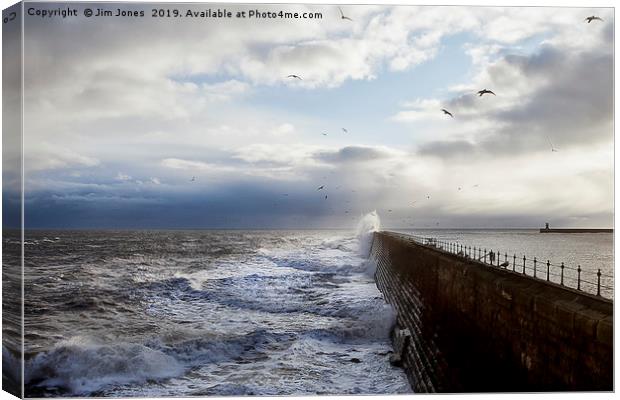 Stormy seas and seagulls Canvas Print by Jim Jones