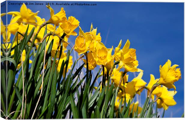 Blue and Yellow make Green! Canvas Print by Jim Jones