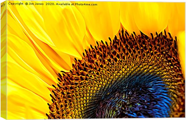 Artistic Sunflower Macro Canvas Print by Jim Jones