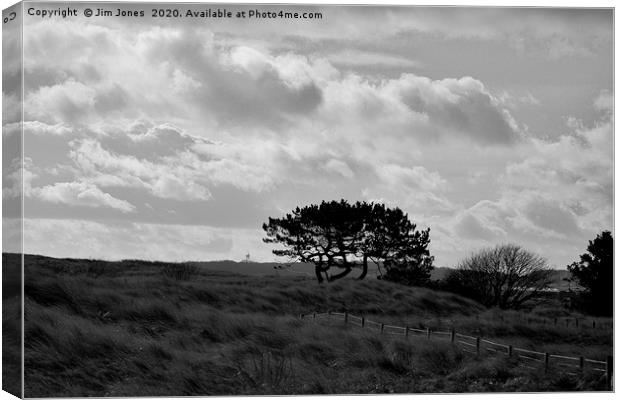 The Sand Dunes at Druridge Bay in Northumberland. Canvas Print by Jim Jones