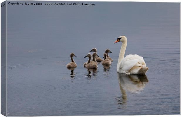 Keeping the family together Canvas Print by Jim Jones
