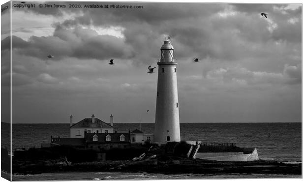 Seagulls over St Mary's. Canvas Print by Jim Jones