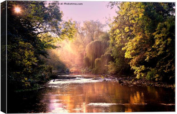 Autumn Sunshine on the River Blyth Canvas Print by Jim Jones