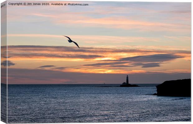 An early bird over St Mary's Island Canvas Print by Jim Jones