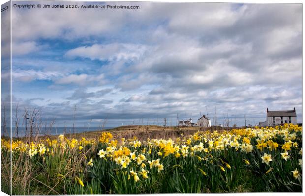 Super Sunny Seaton Sluice Springtime Canvas Print by Jim Jones