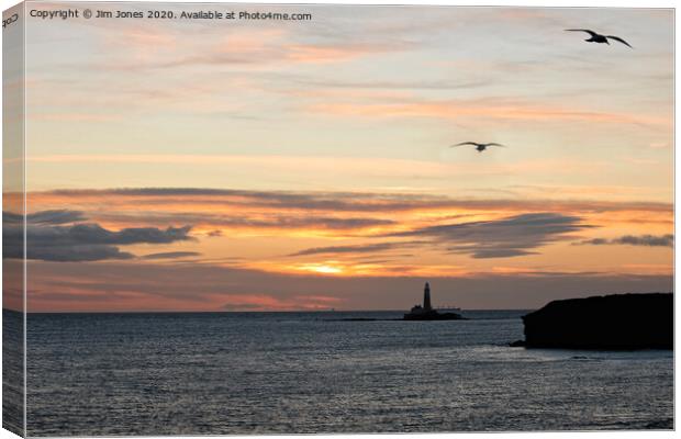 Early birds over St Mary's Island Canvas Print by Jim Jones