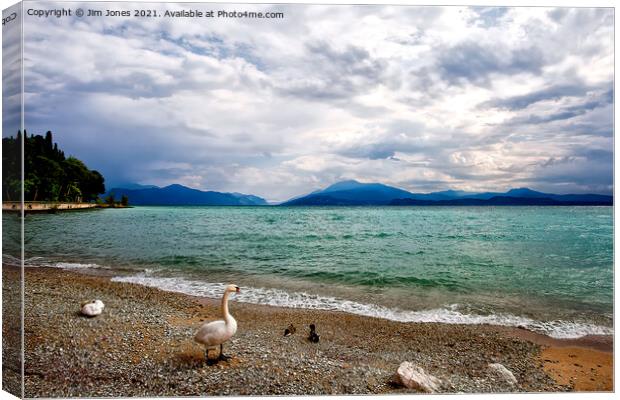 Swans View of Lake Garda Canvas Print by Jim Jones