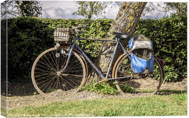 Tired old Bicycle Canvas Print by Ian Jones