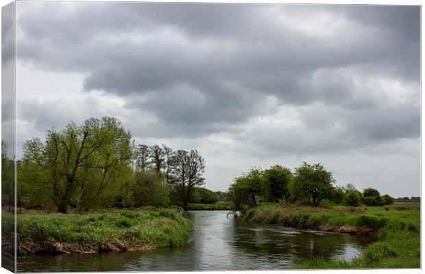 River Avon Near Christchurch Canvas Print by Ian Jones