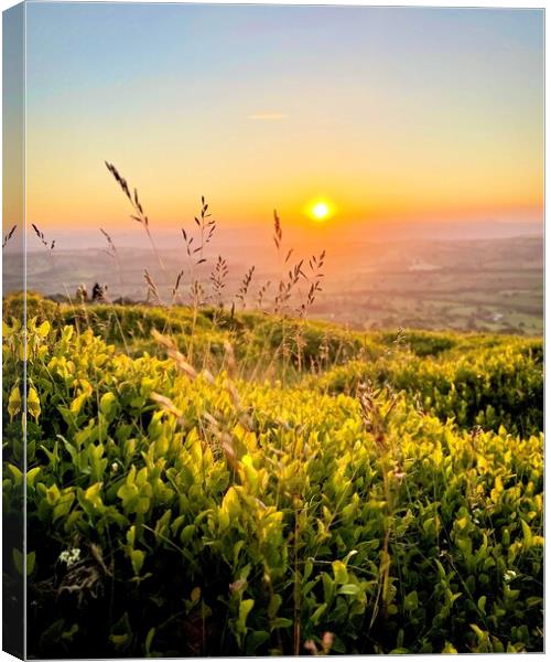 Summer solstice sunset Canvas Print by Victoria Bowie