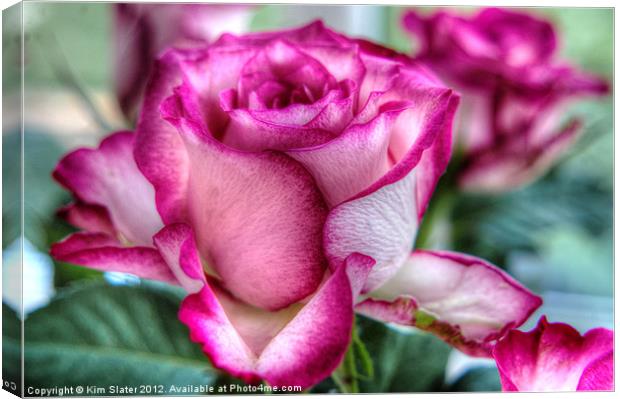 A rose by any other name.... Canvas Print by Kim Slater