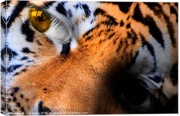 Little Tiger! Canvas Print by Kim Slater