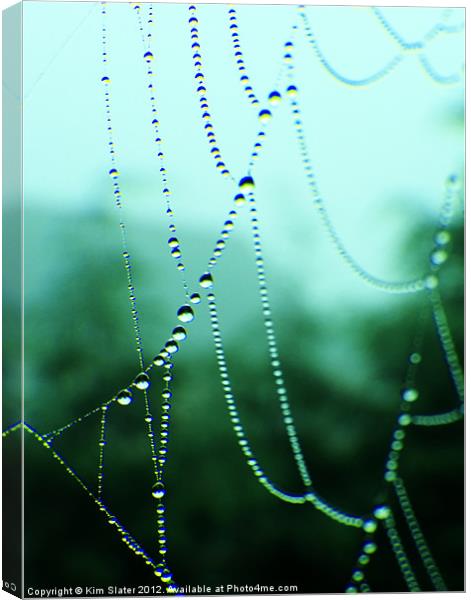 Dew Beads Canvas Print by Kim Slater