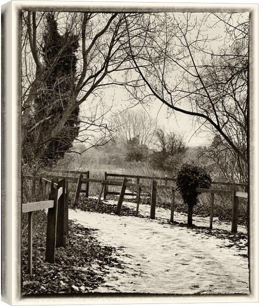 Snowy Path Canvas Print by Kim Slater