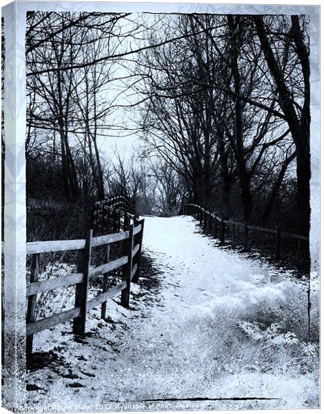 Bridleway Canvas Print by Kim Slater