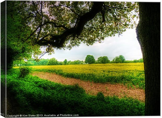 Across the Field Canvas Print by Kim Slater