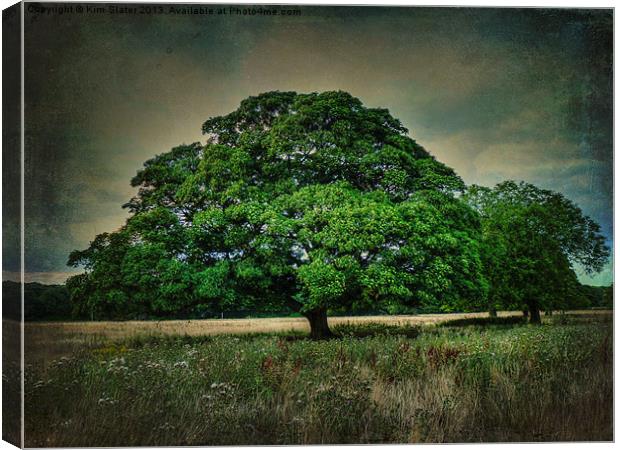 The Tree Canvas Print by Kim Slater