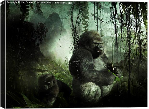 Gorillas in the mist Canvas Print by Kim Slater