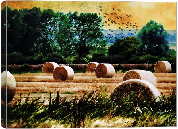  Harvest Canvas Print by Kim Slater