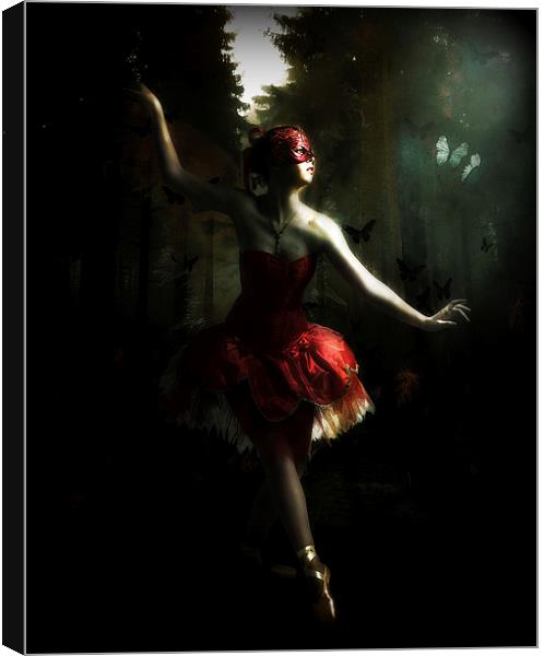  Midnight Dancer Canvas Print by Kim Slater