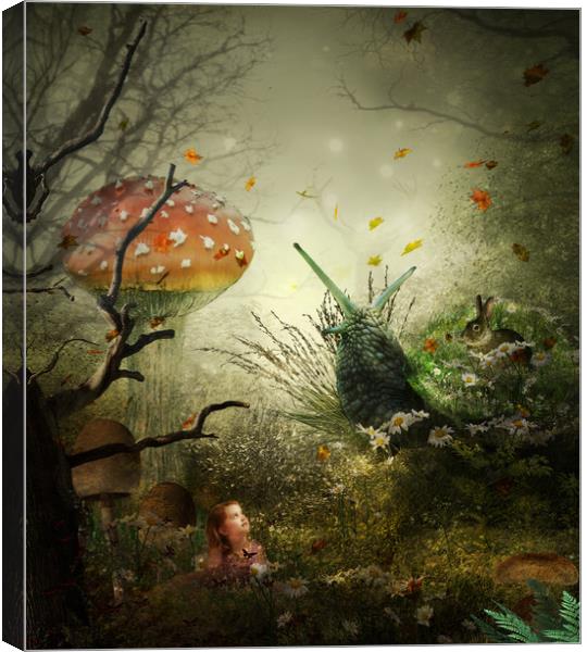 The Enchanted Forest Canvas Print by Kim Slater