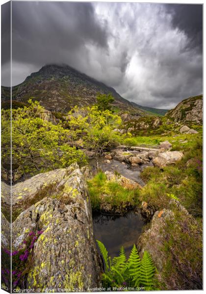 Pen yr Ole Wen Mountain Wales Canvas Print by Adrian Evans