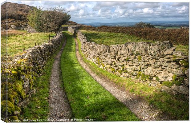 Country Lane Canvas Print by Adrian Evans