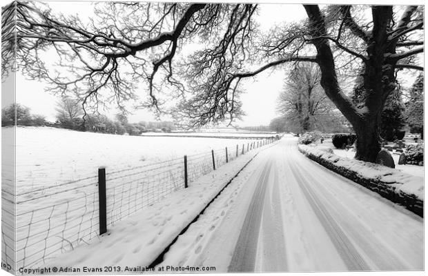 Snowy Lane Canvas Print by Adrian Evans