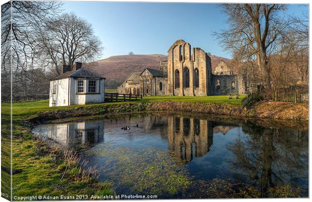 Duck Pond Canvas Print by Adrian Evans