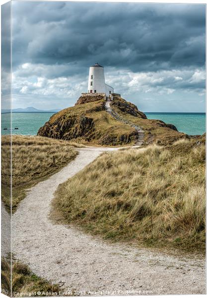 Lighthouse Path Canvas Print by Adrian Evans