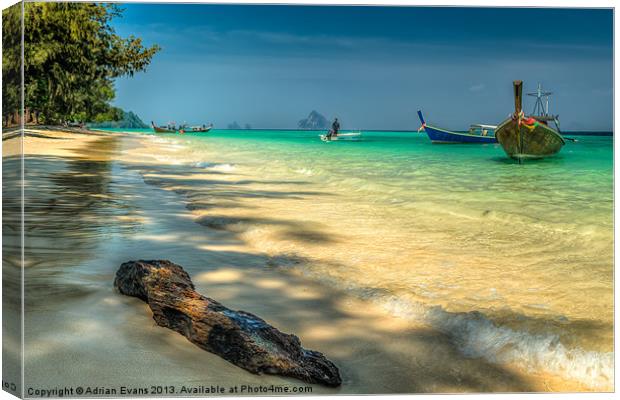 Driftwood Canvas Print by Adrian Evans