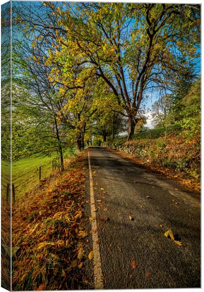 Autumn Country Road Canvas Print by Adrian Evans