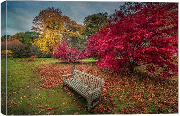 Autumn in the Park Canvas Print by Adrian Evans