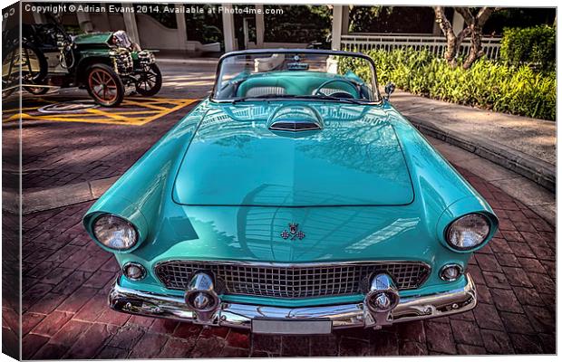 Ford Thunderbird Canvas Print by Adrian Evans