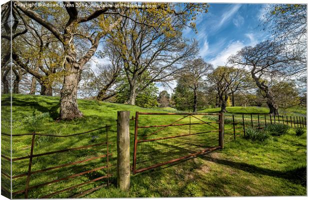 Meadow Gate Canvas Print by Adrian Evans